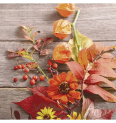 203259 Motivserviette 33x33cm Herbst