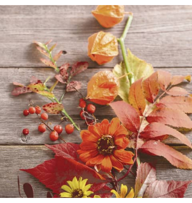 203259 Motivserviette 33x33cm Herbst