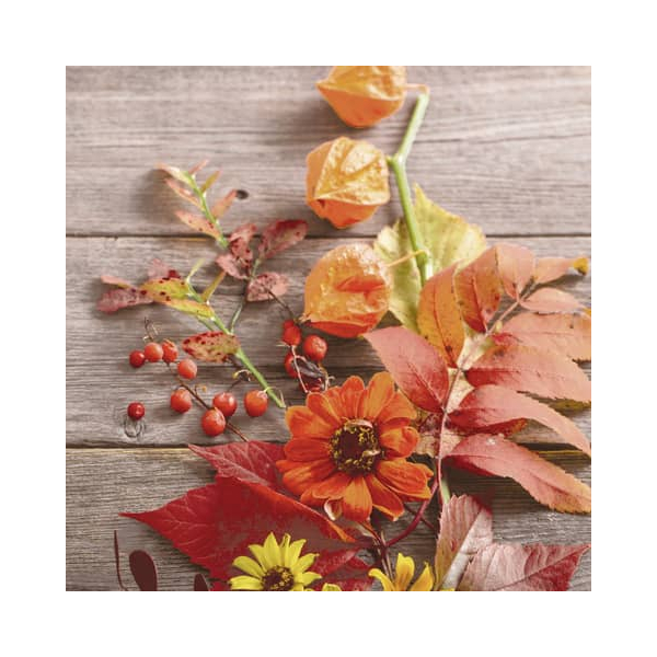 7321012032593 - 203259 Motivserviette 33x33cm Herbst 7321012032593 PAPER+DESIGN 7321012032593 - 203259 Motivserviette 33x33cm Herbst 7321012032593 PAPER+DESIGN