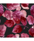 203239 Motivserviette 25x25cm Herbst