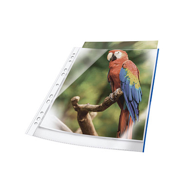 Prospekth&uuml;llen Premium 265506 dokumentenecht, mit Lochrandverst&auml;rkung, mit blauem Rand, A4 glasklar glatt, oben offen, 0,08mm