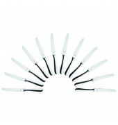 12 solex Messer Baguette silber