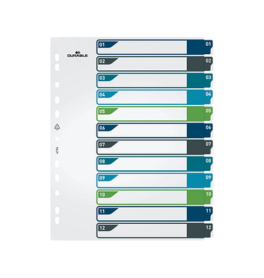 Kunststoffregister 679627, 12-teilig , A4+, farbig sortiert, 12-teilig