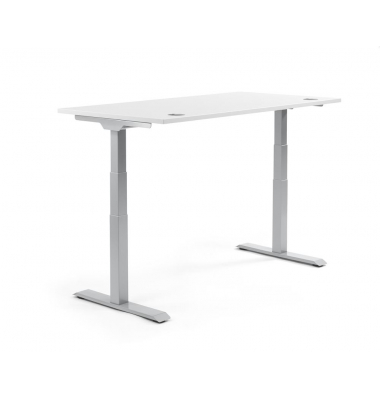 Sitz-Steh-Schreibtisch FLEX MODUL, elektrisch h&ouml;henverstellbar, 60,5-125,5cm (H), 160x80cm (BxT), rechteckig, wei&szlig; / silber
