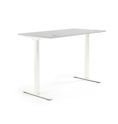 Sitz-Steh-Schreibtisch FLEX MODUL, elektrisch höhenverstellbar, 60,5-125,5cm (H), 160x80cm (BxT), rechteckig, lichtgrau / weiß