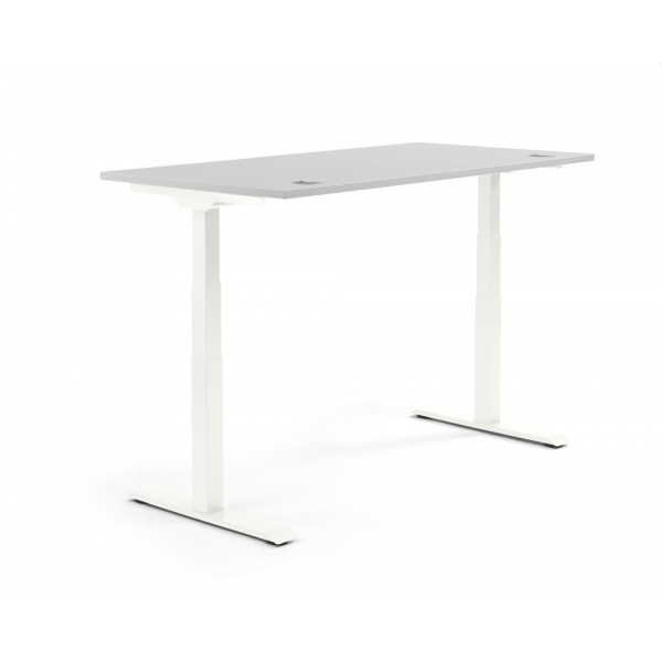 4255704315134 - Sitz-Steh-Schreibtisch 347856 elektrisch höhenverstellbar 605-1255cm (H) 1600mmx800mm (BxT) rechteckig lichtgrau   Weiß 42