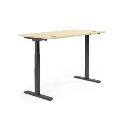 Sitz-Steh-Schreibtisch FLEX MODUL, elektrisch h&ouml;henverstellbar, 60,5-125,5cm (H), 160x80cm (BxT), rechteckig, ahorn / schwarz
