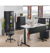 Sitz-Steh-Schreibtisch FLEX MODUL, elektrisch höhenverstellbar, 60,5-125,5cm (H), 120x80cm (BxT), rechteckig, lichtgrau / schwar