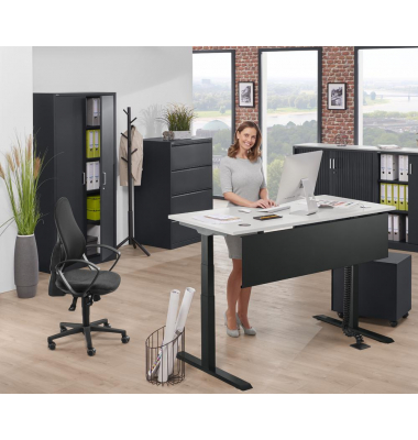 Sitz-Steh-Schreibtisch FLEX MODUL, elektrisch h&ouml;henverstellbar, 60,5-125,5cm (H), 120x80cm (BxT), rechteckig, lichtgrau / schwar