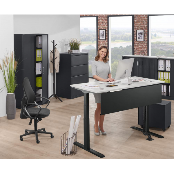 4255704316148 - Sitz-Steh-Schreibtisch 347880 elektrisch höhenverstellbar 605-1255cm (H) 1200mmx800mm (BxT) rechteckig lichtgrau   Schwarz