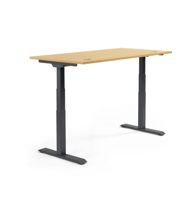 Sitz-Steh-Schreibtisch FLEX MODUL, elektrisch h&ouml;henverstellbar, 60,5-125,5cm (H), 120x80cm (BxT), rechteckig, buche / schwarz