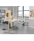 Sitz-Steh-Schreibtisch FLEX MODUL, elektrisch h&ouml;henverstellbar, 60,5-125,5cm (H), 200x80cm (BxT), rechteckig, ahorn / silber