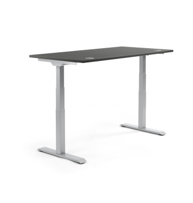 Sitz-Steh-Schreibtisch FLEX MODUL, elektrisch h&ouml;henverstellbar, 60,5-125,5cm (H), 120x80cm (BxT), rechteckig, anthrazit / silber