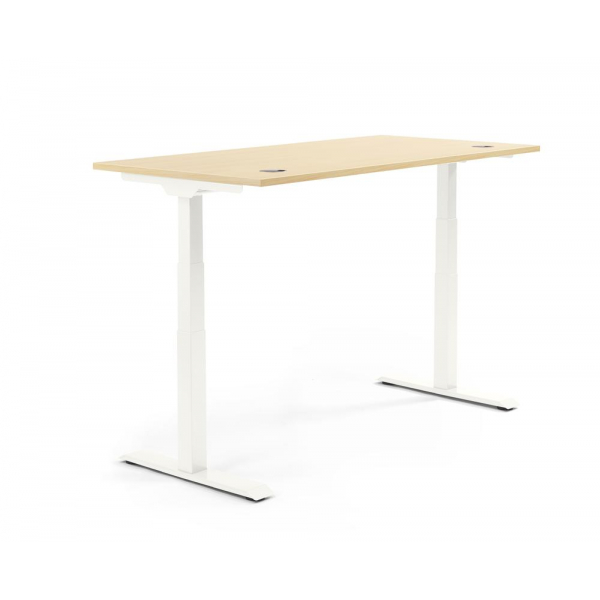 4255704317060 - Sitz-Steh-Schreibtisch 347850 elektrisch höhenverstellbar 605-1255cm (H) 1200mmx800mm (BxT) rechteckig ahorn   Weiß 425570