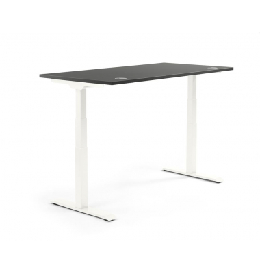 Sitz-Steh-Schreibtisch FLEX MODUL, elektrisch h&ouml;henverstellbar, 60,5-125,5cm (H), 160x80cm (BxT), rechteckig, anthrazit / wei&szlig;