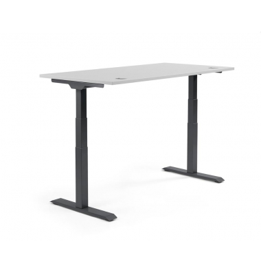 Sitz-Steh-Schreibtisch FLEX MODUL, elektrisch h&ouml;henverstellbar, 60,5-125,5cm (H), 200x80cm (BxT), rechteckig, lichtgrau / schwar