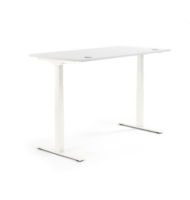 Sitz-Steh-Schreibtisch FLEX MODUL, elektrisch höhenverstellbar, 60,5-125,5cm (H), 120x80cm (BxT), rechteckig, weiß / weiß