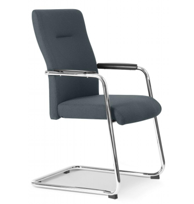 Besucherstuhl DV BIG PLUS FS 200, grau / chrom, mit Armlehnen, Freischwinger