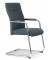 Besucherstuhl DV BIG PLUS FS 200, grau / chrom, mit Armlehnen, Freischwinger