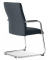 Besucherstuhl DV BIG PLUS FS 200, grau / chrom, mit Armlehnen, Freischwinger
