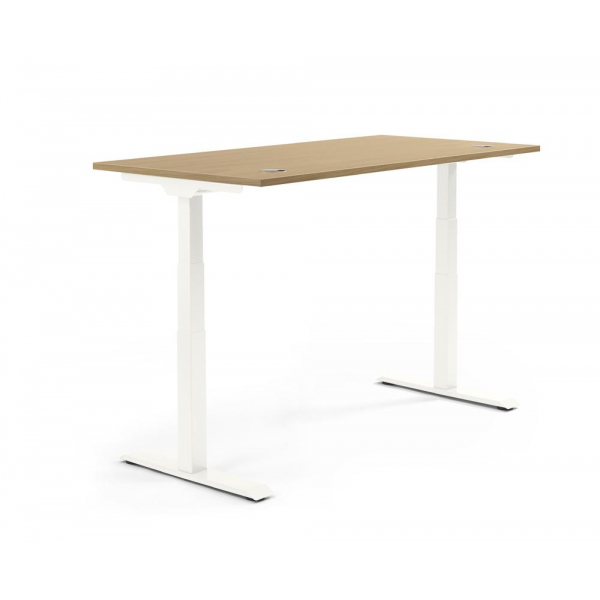 4255704317626 - Sitz-Steh-Schreibtisch 347862 elektrisch höhenverstellbar 605-1255cm (H) 1600mmx800mm (BxT) rechteckig eiche hell   Weiß 4
