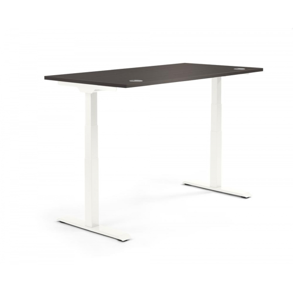 4255704318043 - Sitz-Steh-Schreibtisch 347863 elektrisch höhenverstellbar 605-1255cm (H) 1600mmx800mm (BxT) rechteckig eiche dunkel   Weiß