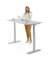 Sitz-Steh-Schreibtisch FLEX MODUL, elektrisch höhenverstellbar, 60,5-125,5cm (H), 160x80cm (BxT), rechteckig, lichtgrau / silber