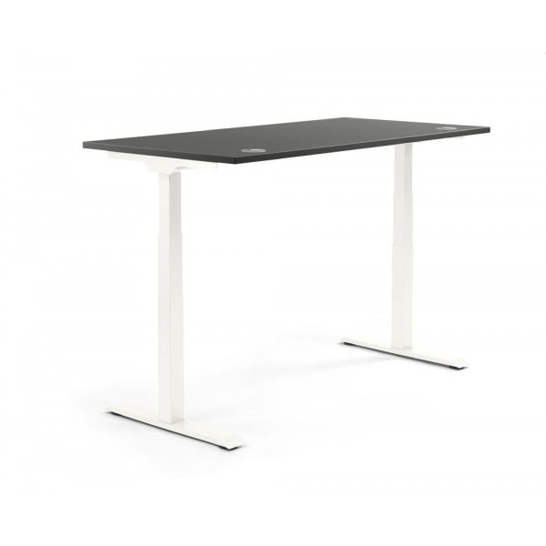4255704318302 - Sitz-Steh-Schreibtisch 347853 elektrisch höhenverstellbar 605-1255cm (H) 1200mmx800mm (BxT) rechteckig anthrazit   Weiß 42