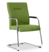 Besucherstuhl DV BIG PLUS FS 200, grün / chrom, mit Armlehnen, Freischwinger