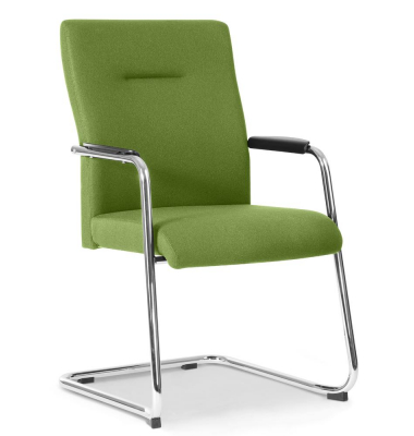 Besucherstuhl DV BIG PLUS FS 200, grün / chrom, mit Armlehnen, Freischwinger