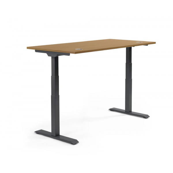 4255704318975 - Sitz-Steh-Schreibtisch 347908 elektrisch höhenverstellbar 605-1255cm (H) 2000mmx800mm (BxT) rechteckig Nussdekor   Schwarz