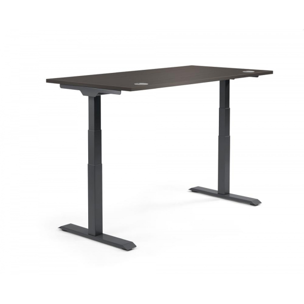 4255704319057 - Sitz-Steh-Schreibtisch 347887 elektrisch höhenverstellbar 605-1255cm (H) 1200mmx800mm (BxT) rechteckig eiche dunkel   Schw