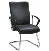 Besucherschwinger DV 30, schwarz / chrom, mit Armlehnen, Freischwinger