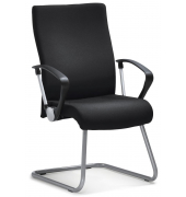 Besucherschwinger DV 30, schwarz / silber, mit Armlehnen, Freischwinger