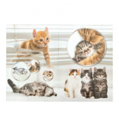 19740 Papierkorb 15l eckig Katzen