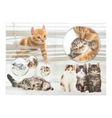 19740 Papierkorb 15l eckig Katzen