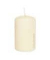 Stumpenkerzen 618308.003 elfenbein 80x50mm (HxØ) ca. 18 Stunden Brenndauer