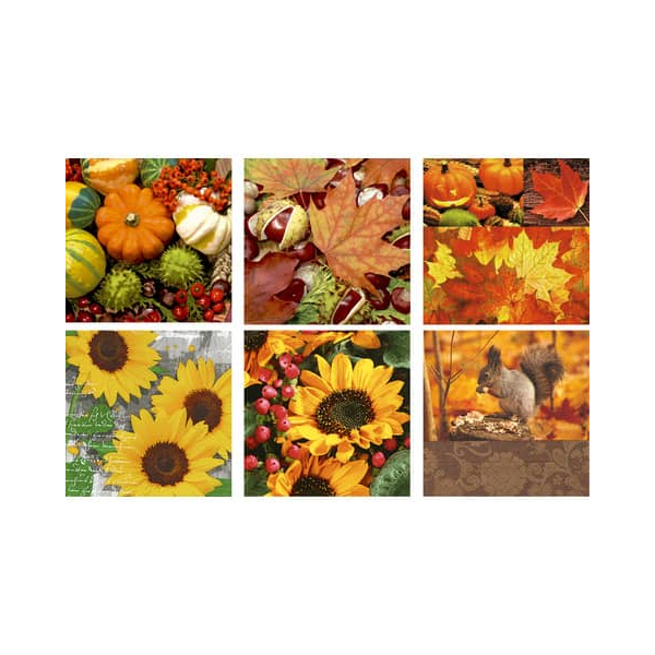 60 Stück Duni Motivservietten 778504 2018 / Herbst Halloween, 3-lagig, 33x33cm 4014995034496 Duni 20 Stück
