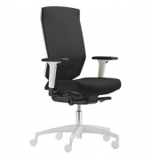 B&uuml;rostuhl AdJust evo mesh, schwarz / wei&szlig;, mit verstellbaren Armlehnen, bis 120kg, ohne Kopfst&uuml;tze