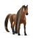 Schleich Horse Club Sofia's Beauties 42621 Achal Tekkiner Hengst Spielfiguren-Set