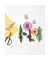 folia Bastelfilz-Set Felt like Spring 18-tlg. mehrfarbig