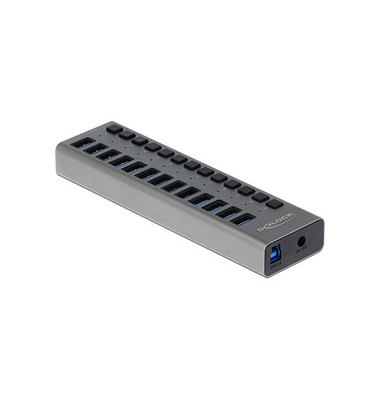 DeLOCK USB-Hub SuperSpeed 13-fach grau