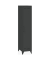BISLEY Spind Fern Locker anthrazitgrau FERLOC634, 1 Schließfach 38,0 x 51,0 x 180,0 cm