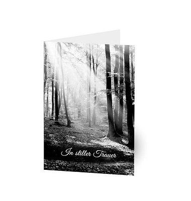 Trauerkarten Wald im Licht LU1350 11,5cm x 17,5cm (BxH) 300g Motiv Chromopapier FSC Trauerkarten Wald im Licht LU1350 11,5cm x 17,5cm (BxH) 300g Motiv Chromopapier FSC