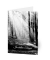 Trauerkarten Wald im Licht LU1350 11,5cm x 17,5cm (BxH) 300g Motiv Chromopapier FSC