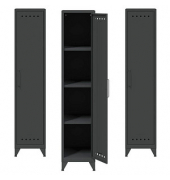 Spinde Fern Locker anthrazitgrau FERLOC634P3, 1 Schließfach 38,0 x 51,0 x 180,0 cm