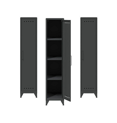 Spinde Fern Locker anthrazitgrau FERLOC634P3, 1 Schließfach 38,0 x 51,0 x 180,0 cm