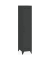 Spinde Fern Locker anthrazitgrau FERLOC634P3, 1 Schließfach 38,0 x 51,0 x 180,0 cm
