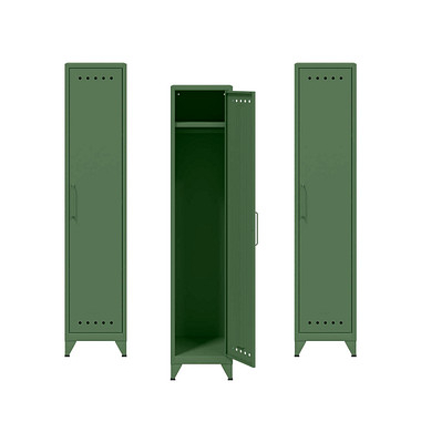 Spinde Fern Locker olivgrün FERLOC3S623P3, 1 Schließfach 38,0 x 51,0 x 180,0 cm