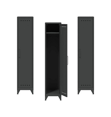 Spinde Fern Locker anthrazitgrau FERLOC3S634P3, 1 Schließfach 38,0 x 51,0 x 180,0 cm